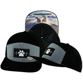 Dog Hat - Flat Bill - Corduroy - Black / Gray Blue - Laser Mesh