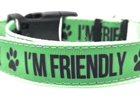Rewarding Rover LLC I'M FRIENDLY Dog Collar | Green Social Pet Gear, 14-21.5…