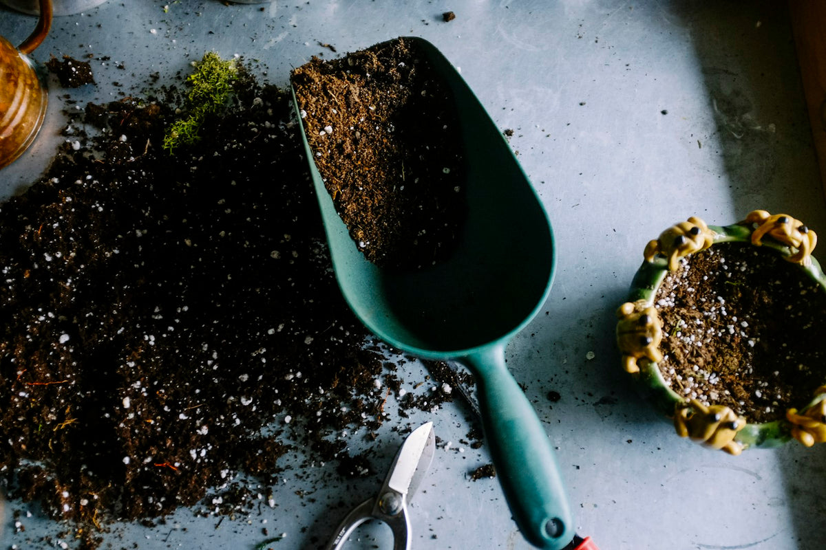 Outdoor & Garden category guide — Curated Sense