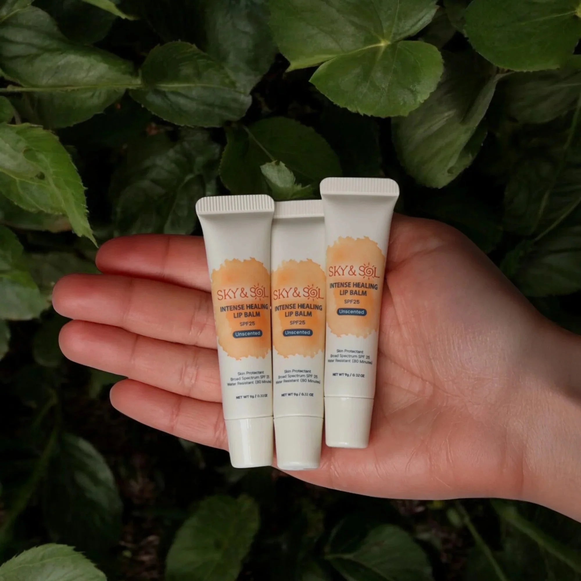 Sky and Sol Lip Jelly SPF 25 (Pack of 3) — 3 tubes packaging shot