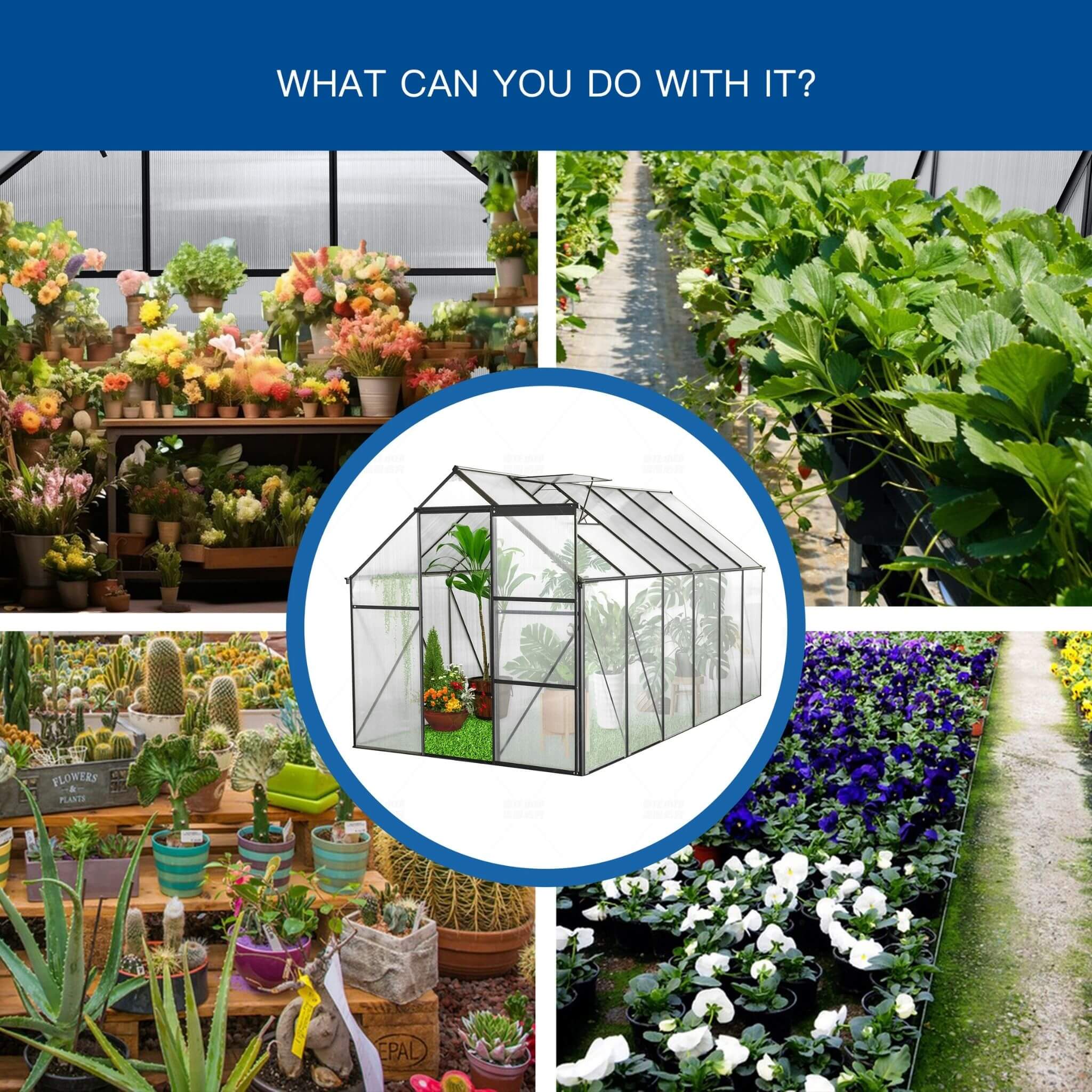 [06X12FT] Heavy-Duty Black Polycarbonate Greenhouse With Raised Base And Anchor (SAK92451) – SAKSBY WHOLESALE, view 5