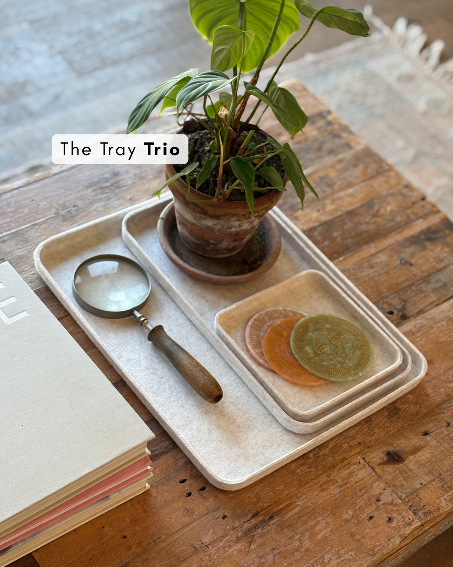 The Tray Trio 2.0 – SortJoy, view 2