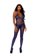 Love Spark Cove | Intimate Apparel, Pleasure Shop & Free Shipping Sheer Bodystocking With Rose Flower Burnout — main product 