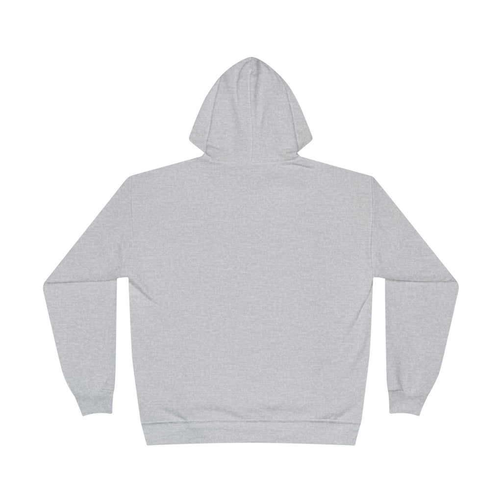 APL Pickleball Shield Hoodie — Retro Pickleball Pullover