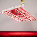 ApolloARC Red Light Therapy Device – Your Health Sanctuary