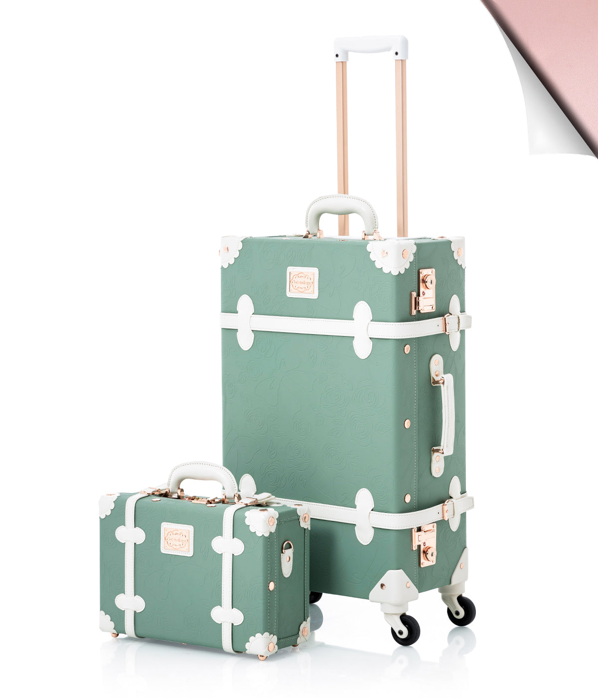 Riviera Large Check-in Set - Train Case