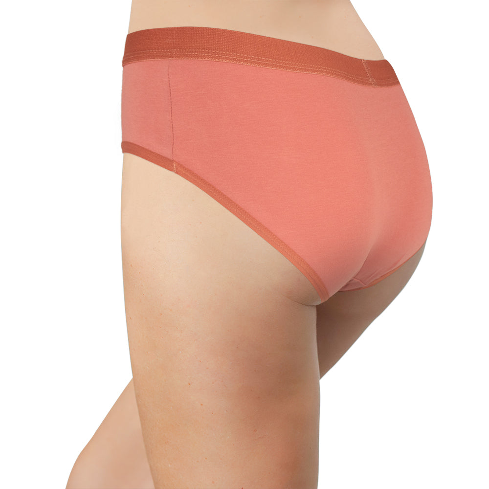 Love Libby Panties Retro Cotton Brief — back view