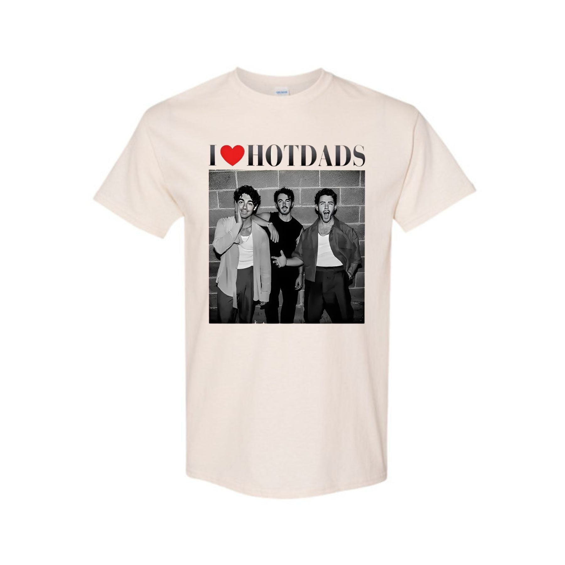 Pasimax "I Love Hot Dads" Funny Jonas Siblings Tour Tee — lifestyle context