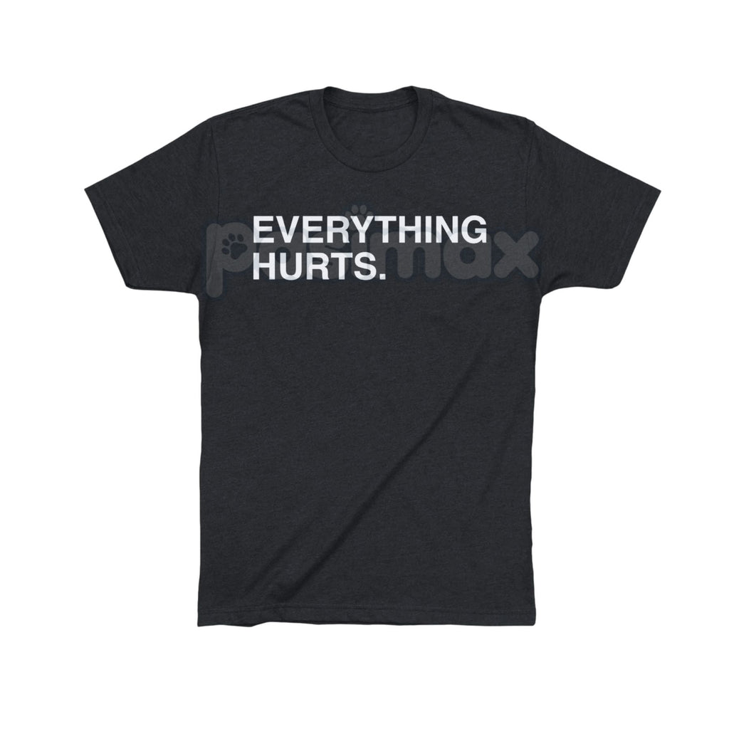 Pasimax "EVERYTHING HURTS" Funny Graphic Tee — detail close-up