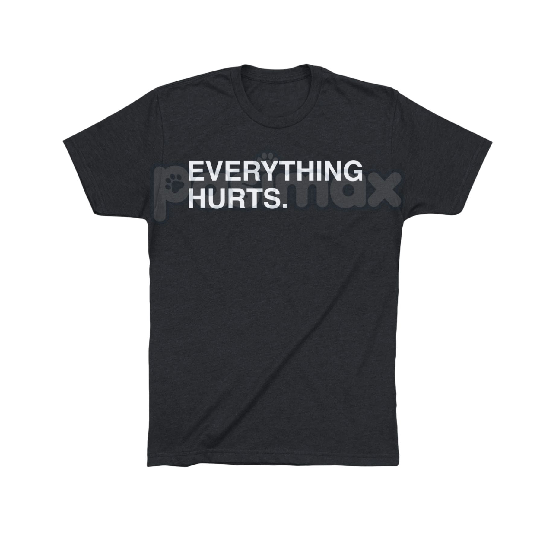 Pasimax "EVERYTHING HURTS" Funny Graphic Tee — detail close-up