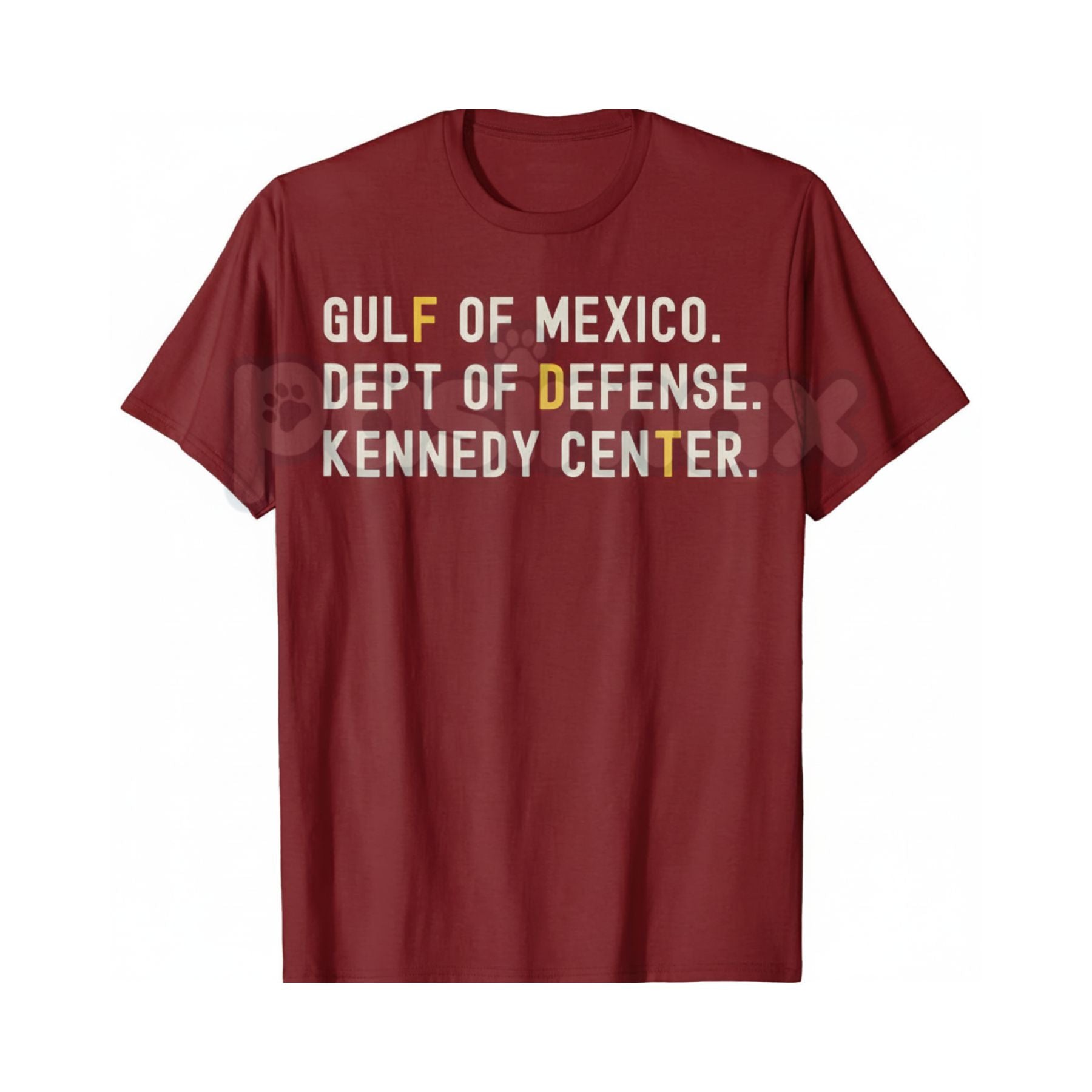 Pasimax Gulf of Mexico Dept of Defense T-Shirt - Kennedy Center Graphic Tee, Esoteric Government Agency Apparel, Niche Milita