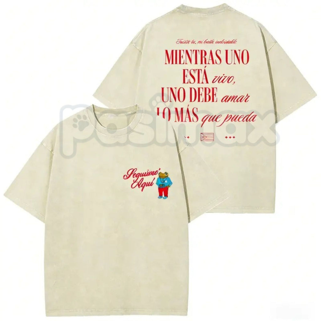 Pasimax Seguimo Aqui Sapo Concho Washed T-Shirt – Puerto Rican Reggaeton Streetwear, Perreo Babe Graphic Tee — detail close-u