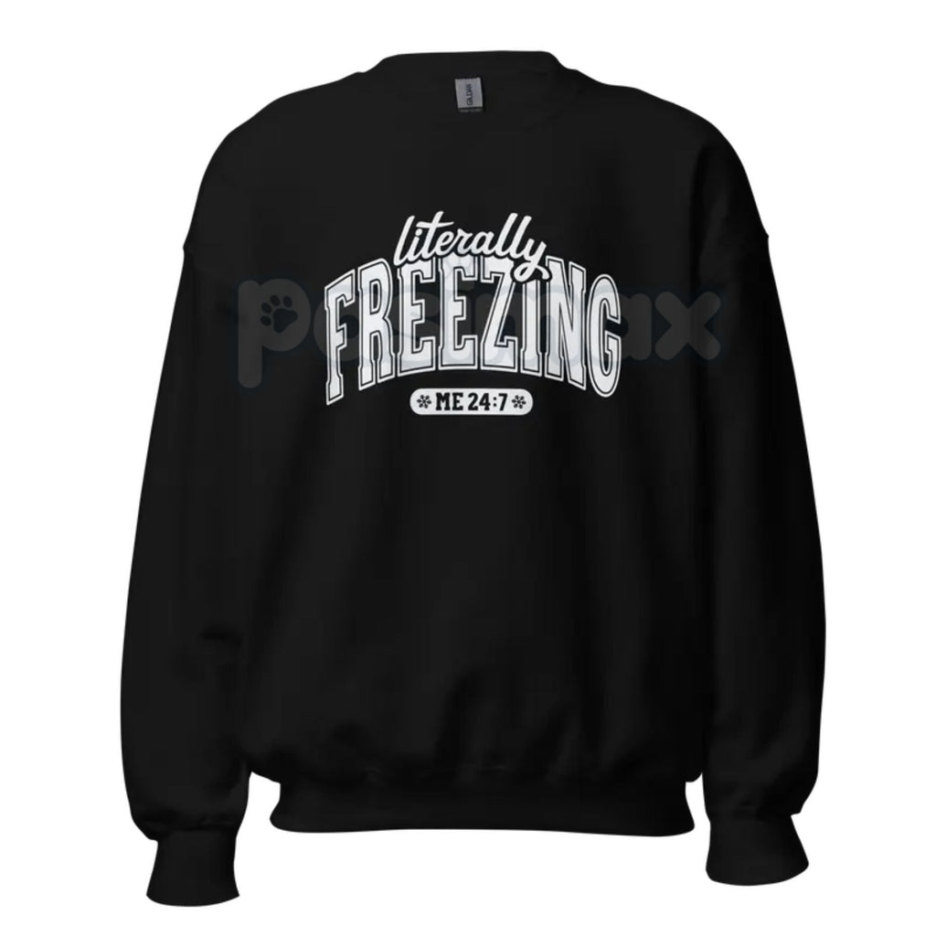 Pasimax The Cold Truth: "Literally Freezing" Unisex Garment-Dyed Sweatshirt – Winter Cozy Wear — detail close-up