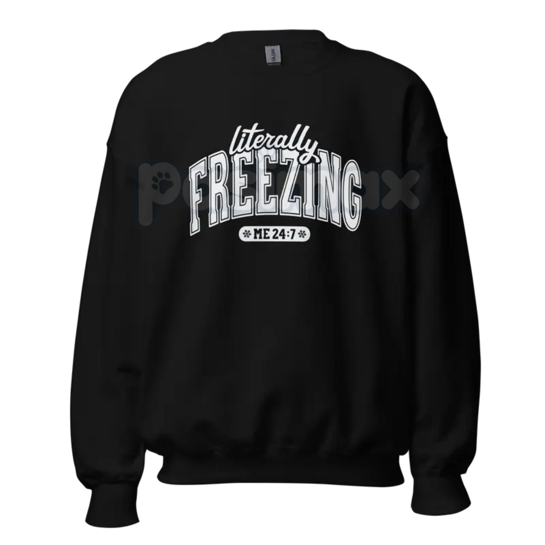 Pasimax The Cold Truth: "Literally Freezing" Unisex Garment-Dyed Sweatshirt – Winter Cozy Wear — detail close-up