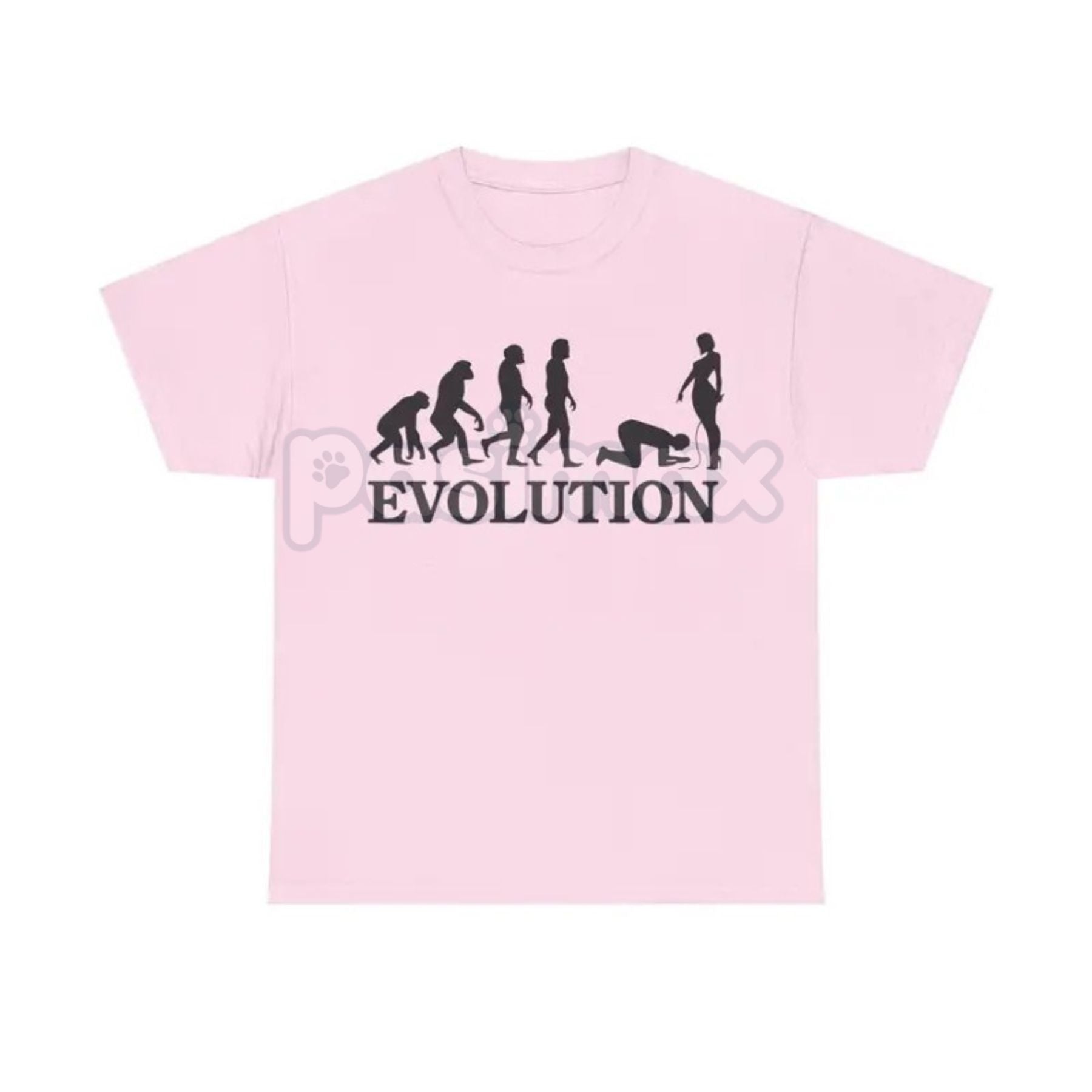 Pasimax "Evolution Simp" Funny Graphic T-Shirt — detail close-up