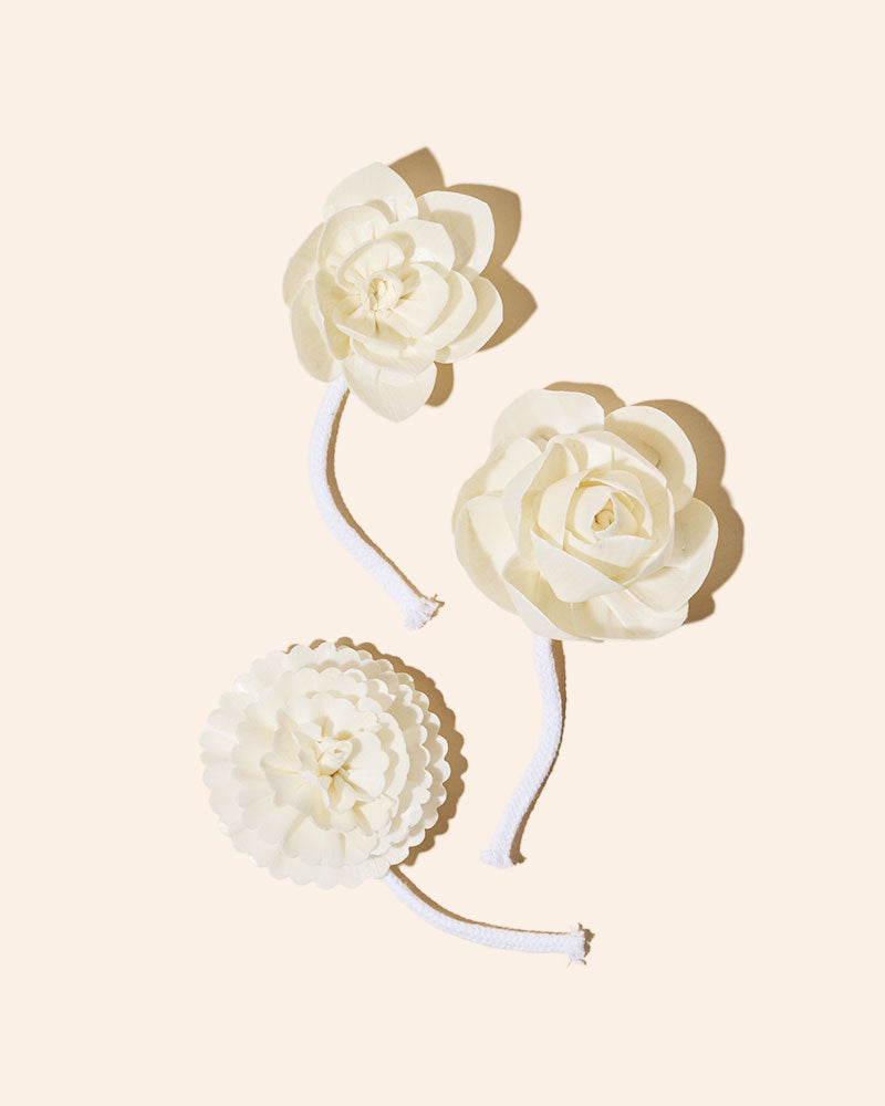 sola flower diffuser reeds – makesy®