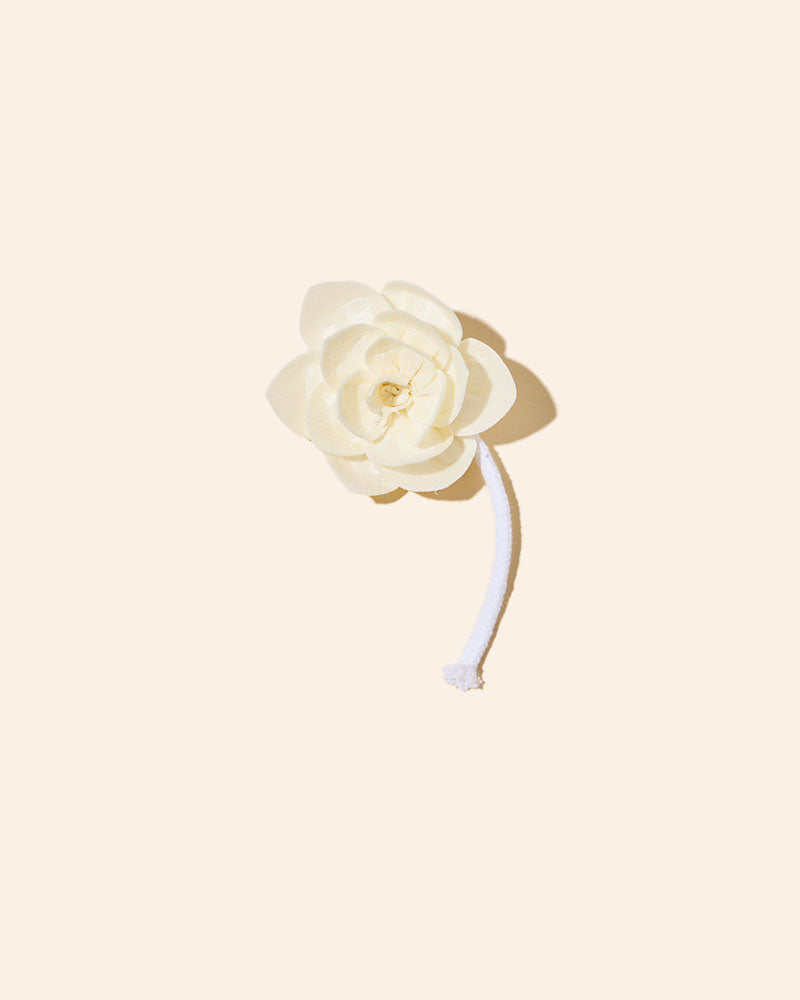 sola flower diffuser reeds – makesy®, view 7
