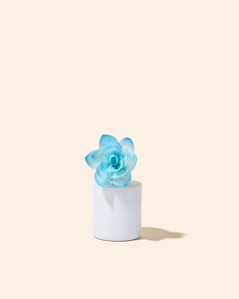 sola flower diffuser reeds – makesy®, view 10
