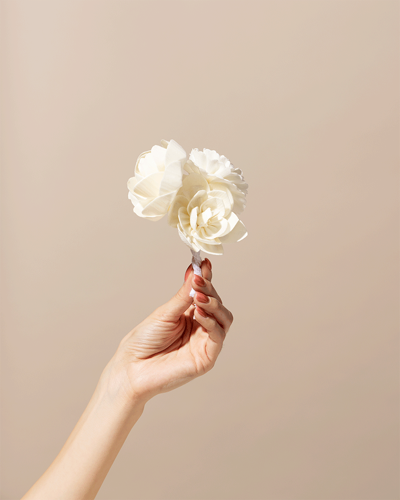 sola flower diffuser reeds – makesy®, view 5