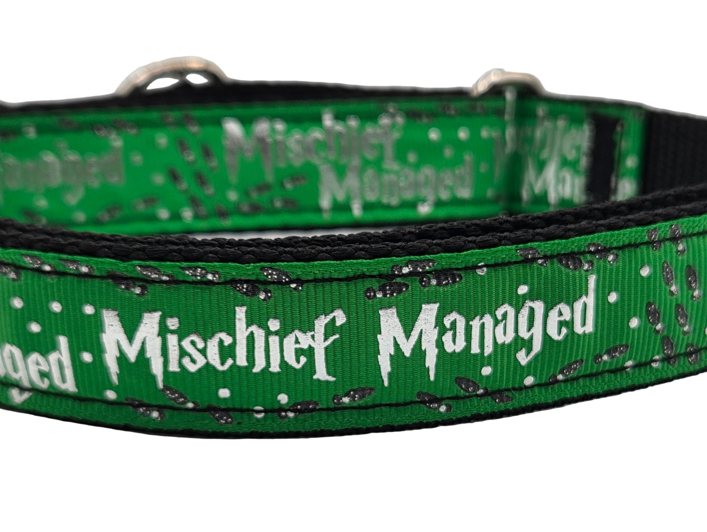 Rewarding Rover LLC Mischief Managed Red, Blue, or Green Dog Collar - 1 inch — image 2
