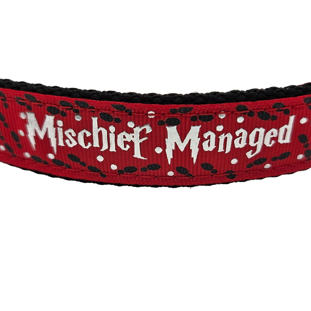 Rewarding Rover LLC Mischief Managed Red, Blue, or Green Dog Collar - 1 inch — image 1