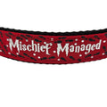 Rewarding Rover LLC Mischief Managed Red, Blue, or Green Dog Collar - 1 inch — image 1
