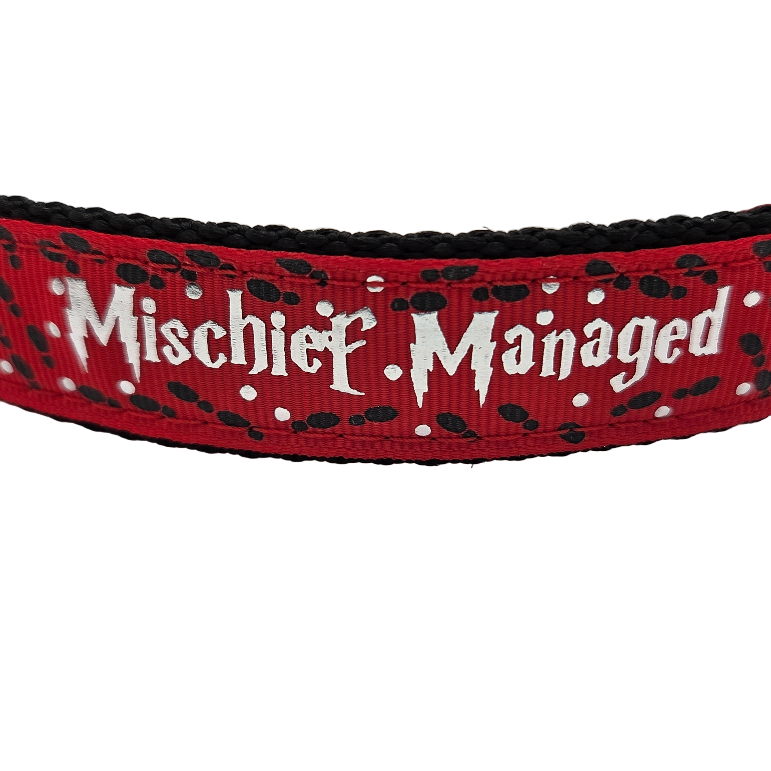 Rewarding Rover LLC Mischief Managed Red, Blue, or Green Dog Collar - 1 inch — image 1
