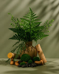 evergreen veil & mossed stone™ fragrance oil – makesy®