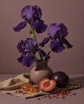 sugar plum & velvet dream™ fragrance oil – makesy®