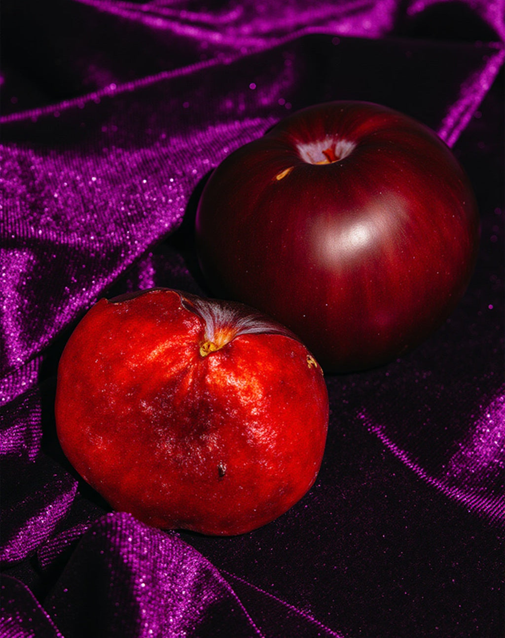 sugar plum & velvet dream™ fragrance oil – makesy®, view 2
