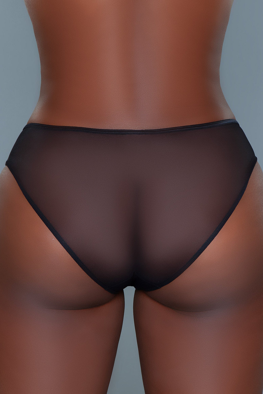 Love Spark Cove | Intimate Apparel, Pleasure Shop & Free Shipping 2228B Sabrina Panty — lifestyle context