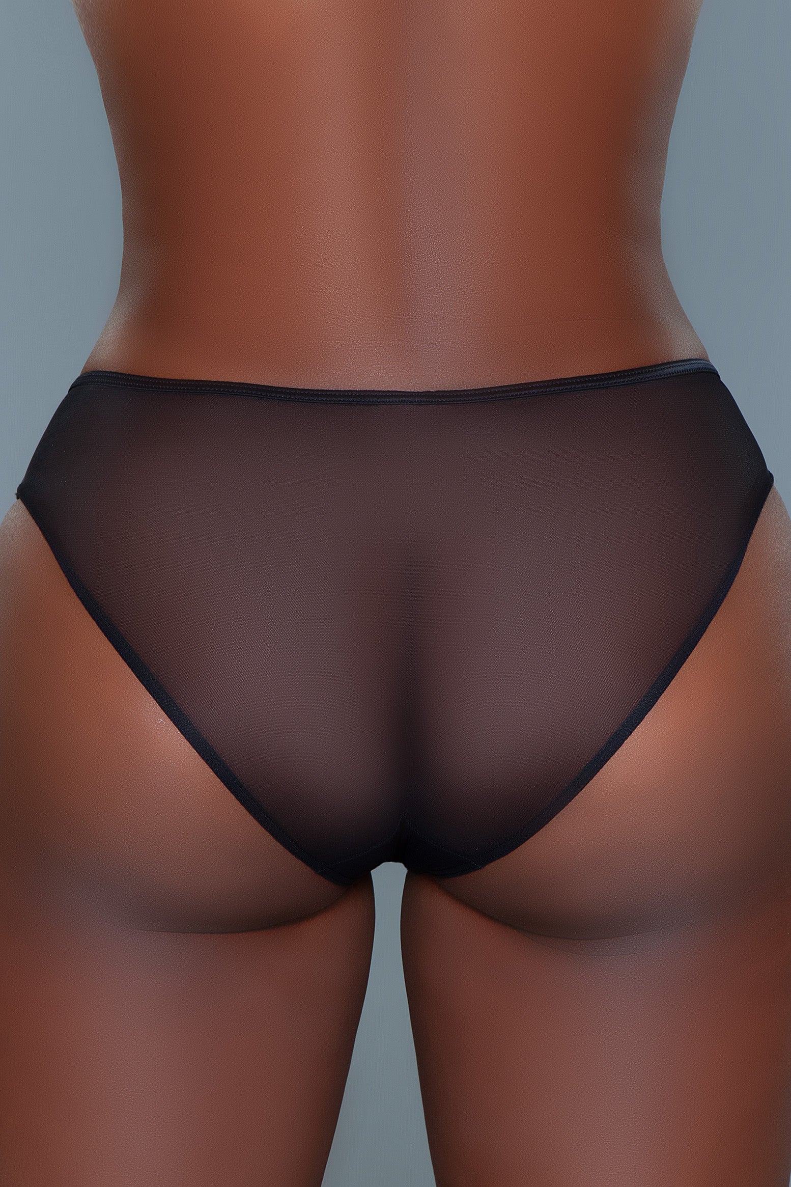 Love Spark Cove | Intimate Apparel, Pleasure Shop & Free Shipping 2228B Sabrina Panty — lifestyle context