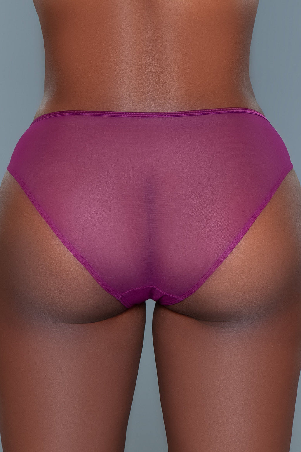 Love Spark Cove | Intimate Apparel, Pleasure Shop & Free Shipping 2228B Sabrina Panty — alternative angle