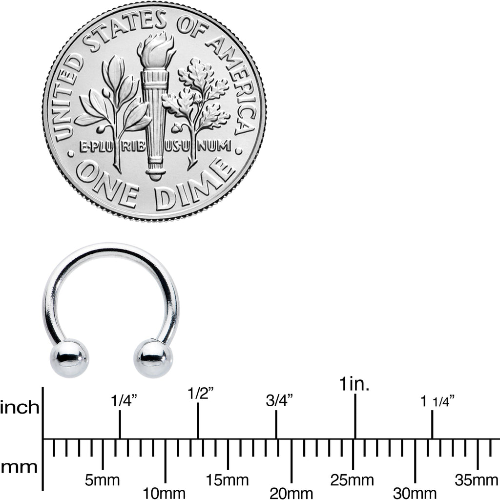 BodyCandy 16G 5/16 Stainless Steel Horseshoe Circular Barbell — color detail