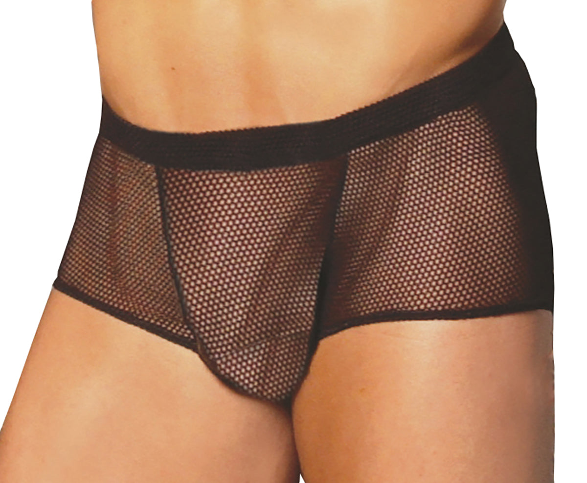 Love Spark Cove | Intimate Apparel, Pleasure Shop & Free Shipping Mens Fishnet Boxer — main product shot