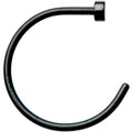 BodyCandy 20G 3/8 Black Anodized Titanium Nose Hoop — main product shot
