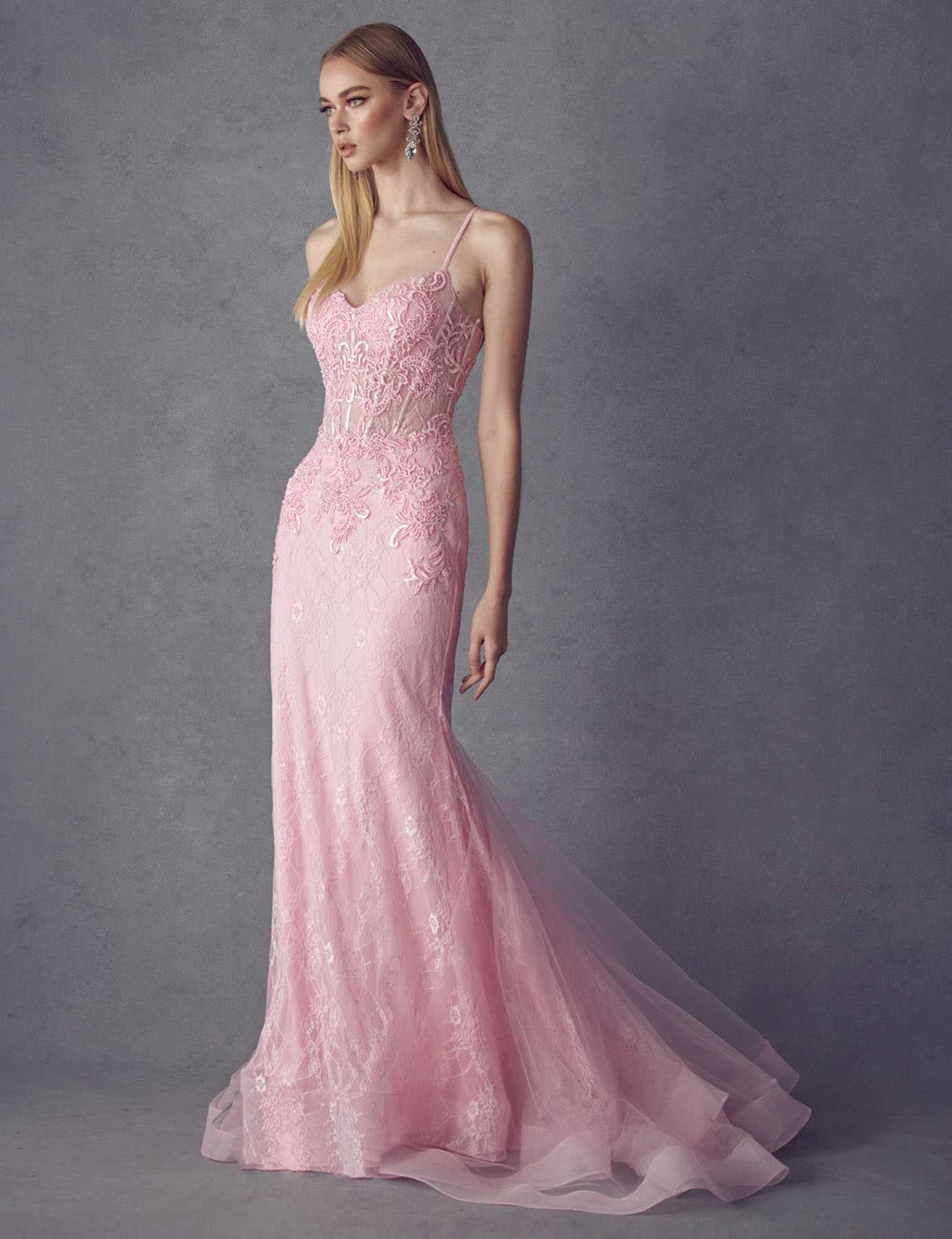 Juliet 250 Embellished Lace Mermaid Dress