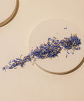 blue cornflower petals – makesy®