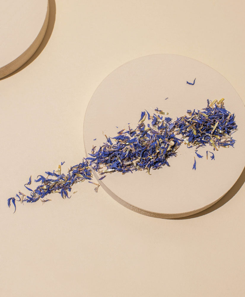 blue cornflower petals – makesy®