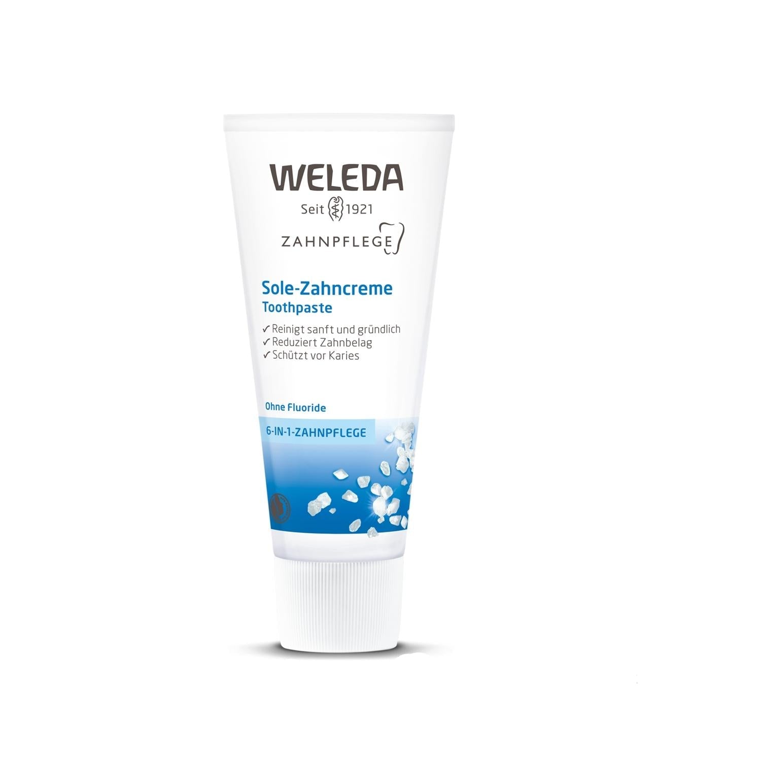 Weleda Natural Toothpaste with Sea Salt - 2.54 fl oz, Fluoride-Free, Organic Oral Care