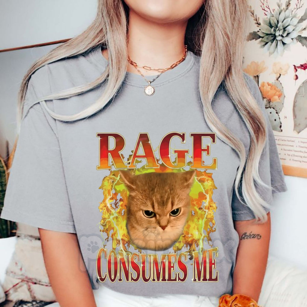 Pasimax "Cat Rage Is Consuming Me" Funny T-Shirt - Angry Meme Cats Humor Tee, Unhinged Feline Graphic Shirt, Sarcastic Scream