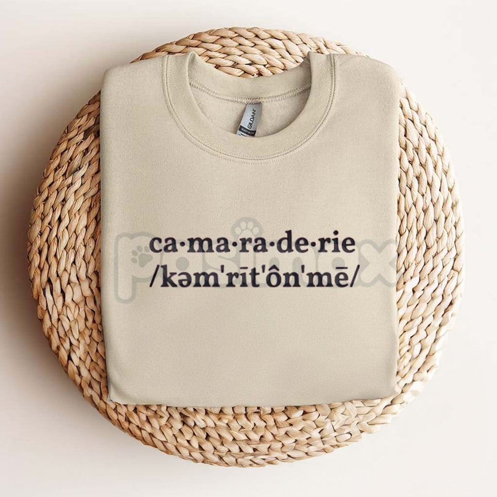 Pasimax Sabrina Carpenter Camaraderie Embroidered Shirt – Unisex, Relaxed Fit Tee for Concert & Fan Apparel — detail close-up