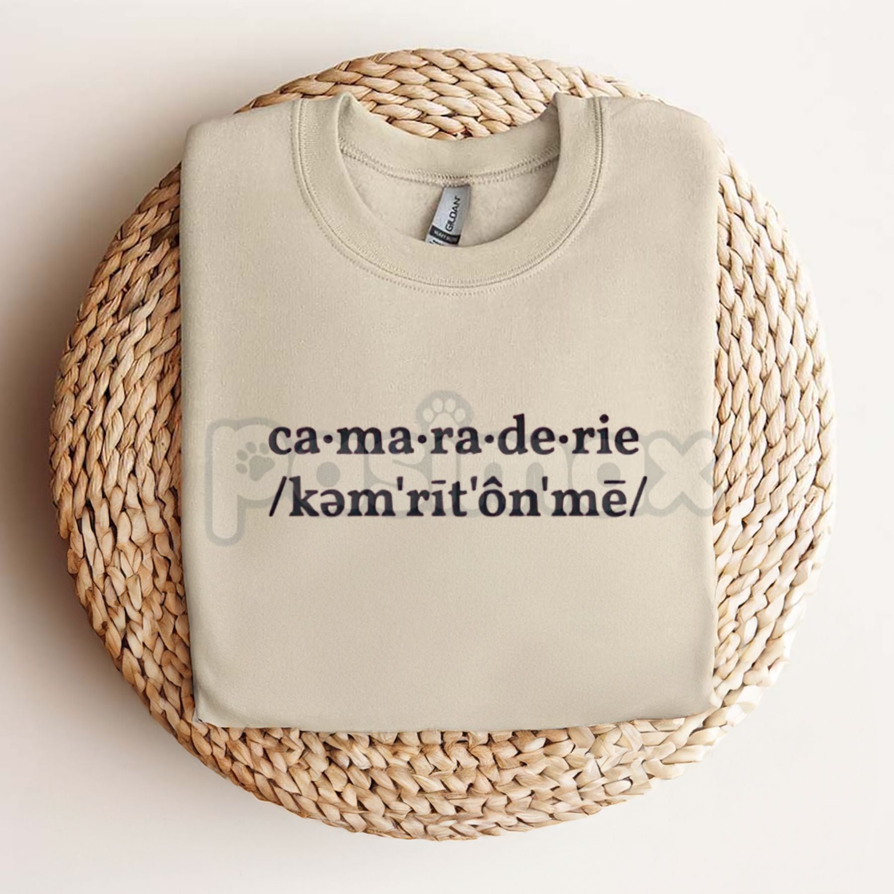 Pasimax Sabrina Carpenter Camaraderie Embroidered Shirt – Unisex, Relaxed Fit Tee for Concert & Fan Apparel — detail close-up