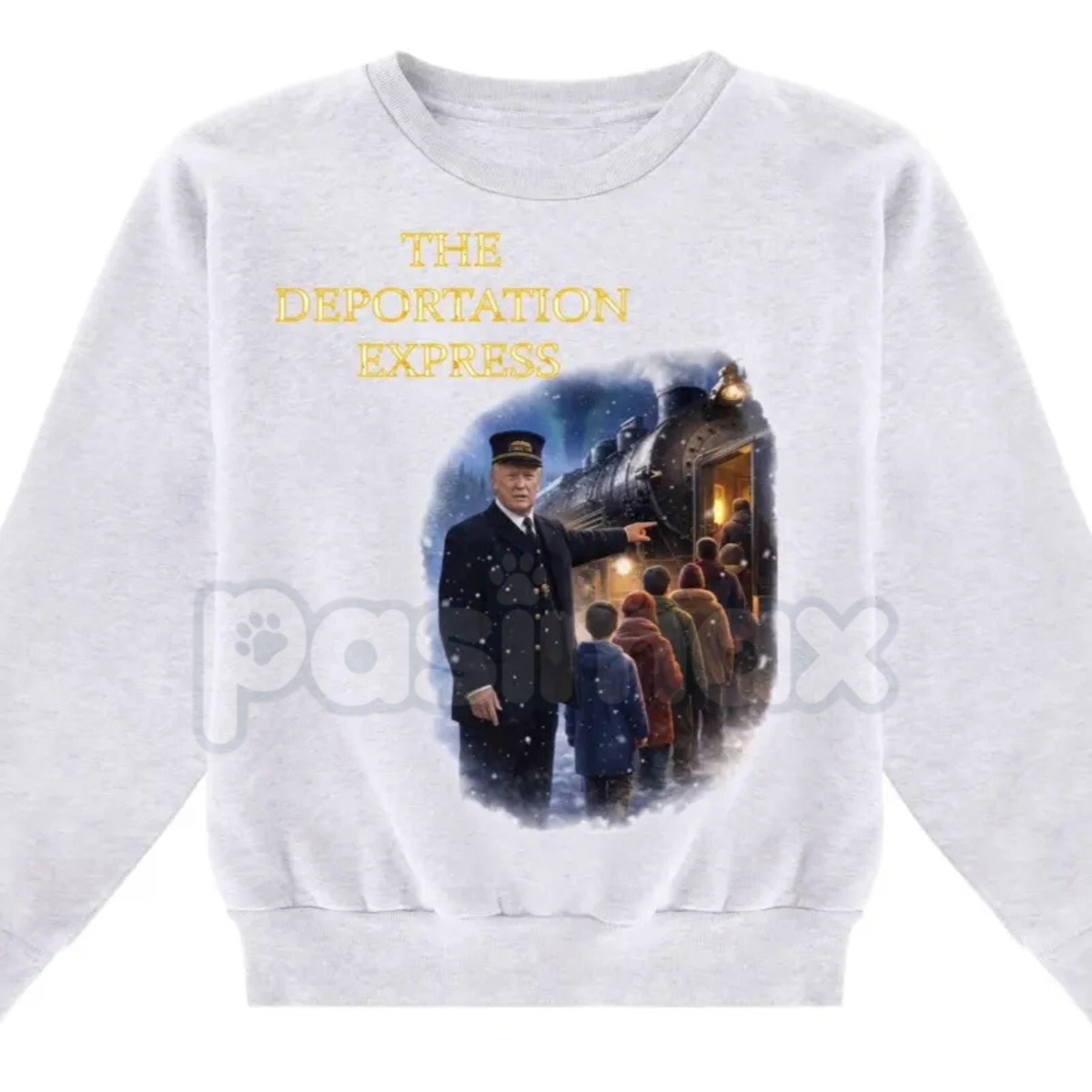 Pasimax The Deportation Express Funny Sweatshirt | Sarcastic Political Jumper | Bold Statement Graphic Crewneck | Funny Cultu