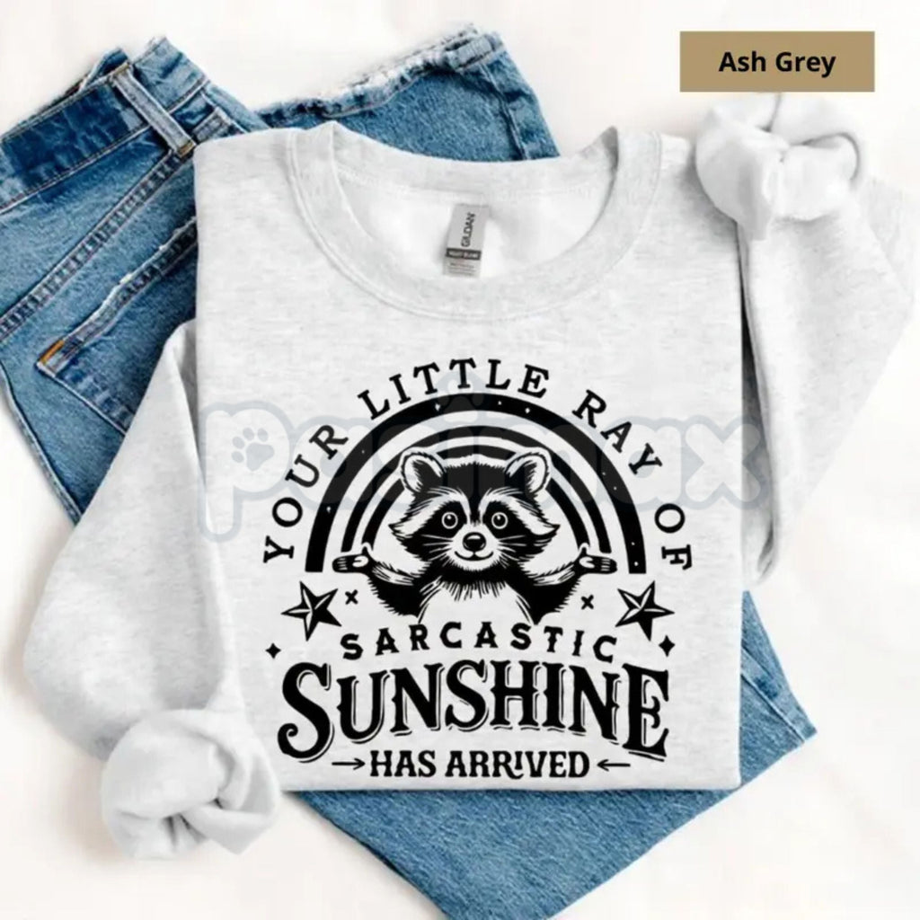 Pasimax Your Little Ray Of Sarcastic Sunshine Sweatshirt | Funny Sassy Quote Crewneck | Retro Sun Graphic Pullover | Witty Sa