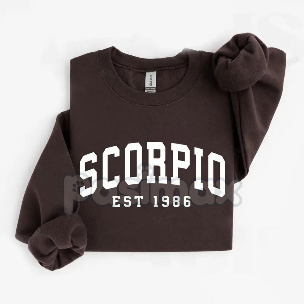 Pasimax Vintage Zodiac Constellation Sweatshirt – Personalized Astrology Est. [Year] Apparel — detail close-up