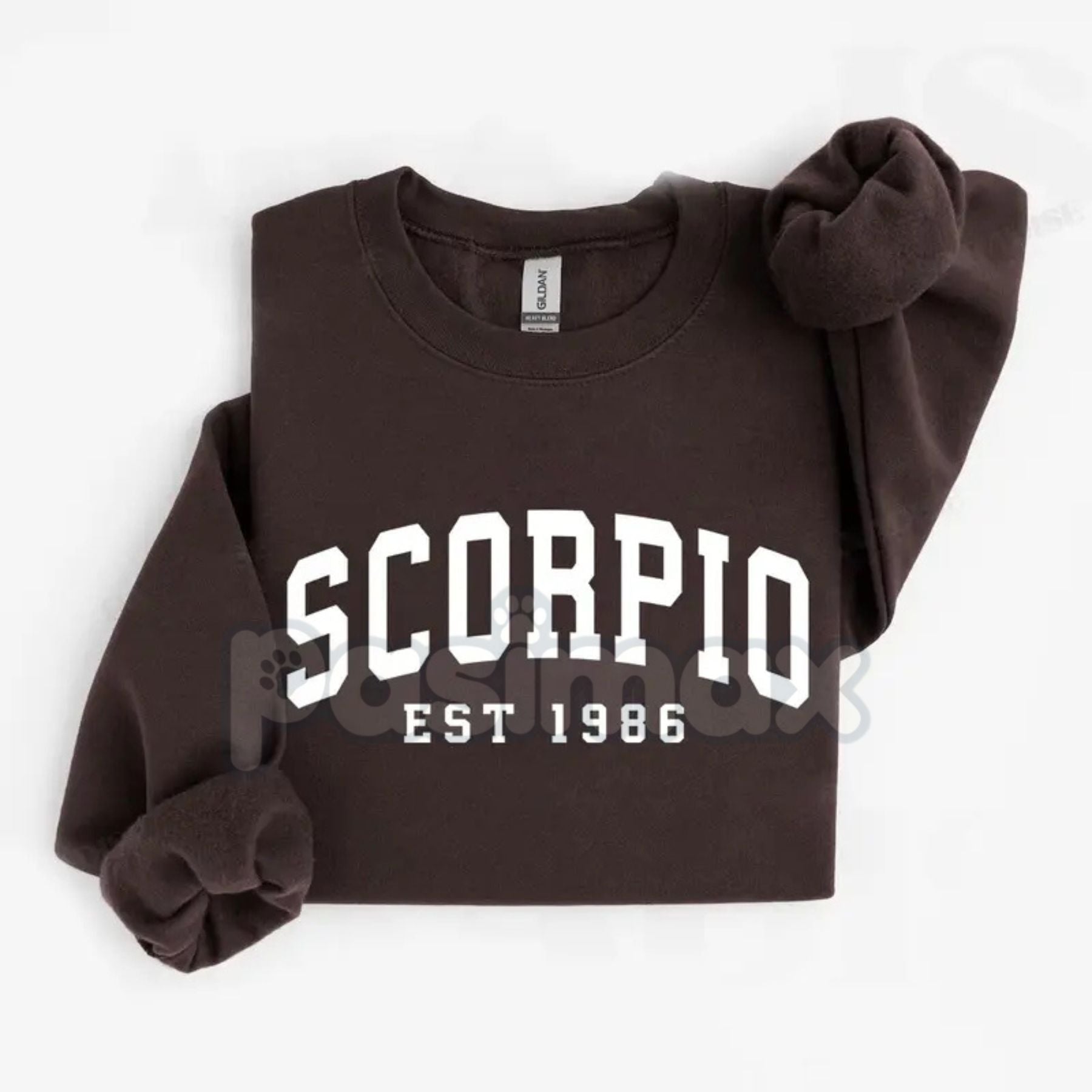 Pasimax Vintage Zodiac Constellation Sweatshirt – Personalized Astrology Est. [Year] Apparel — detail close-up