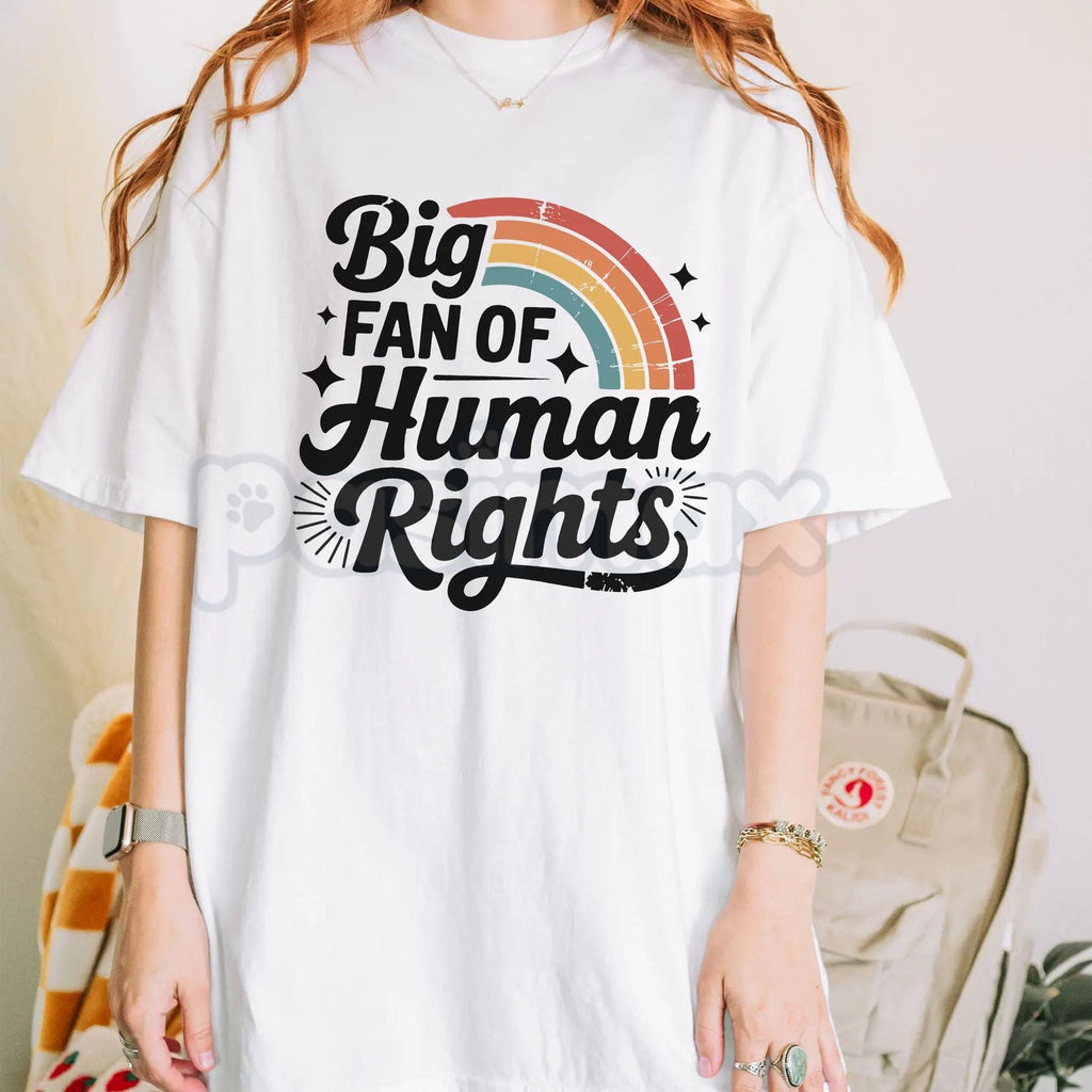 Pasimax "Big Fan of Human Rights" Aesthetic Retro Shirt - Vintage 70s Rainbow Equality Tee, Minimalist Social Justice Graphic