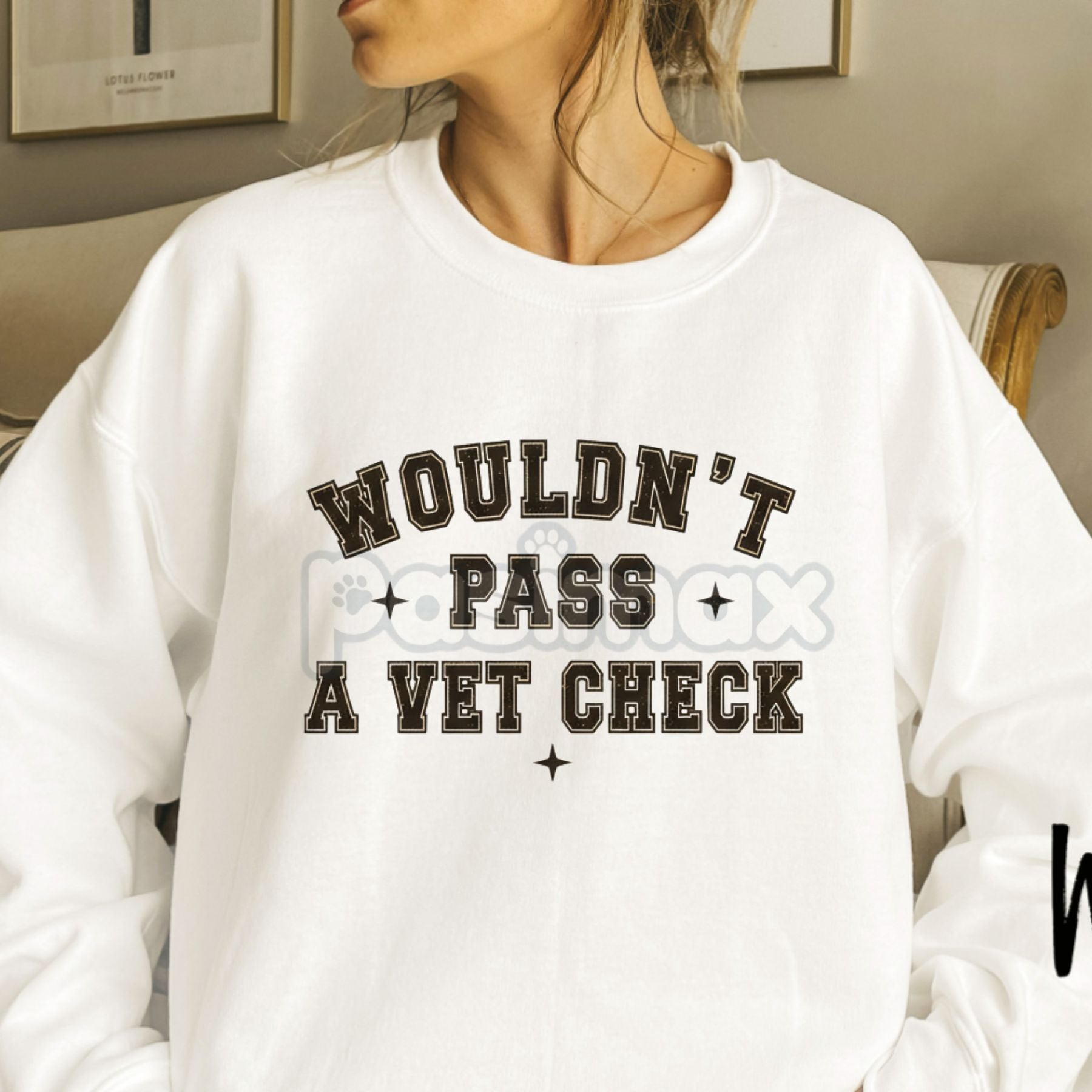 Pasimax "Wouldn't Pass A Vet Check" Sweatshirt – Funny Sarcastic Vet Tech & Pet Lover Crewneck — detail close-up
