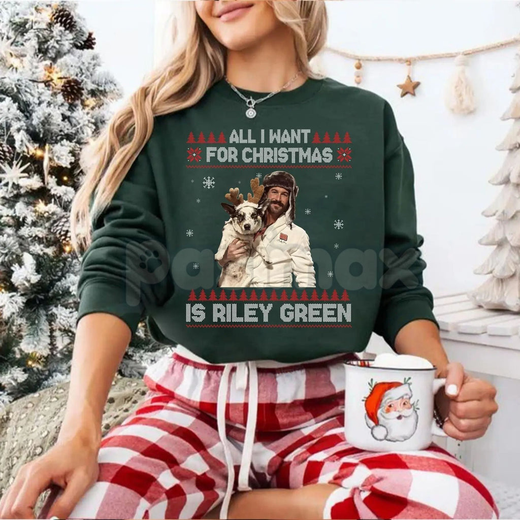 Pasimax Retro Christmas Wish Sweatshirt | Vintage Holiday Sweater | All I Want For Christmas Crewneck — detail close-up